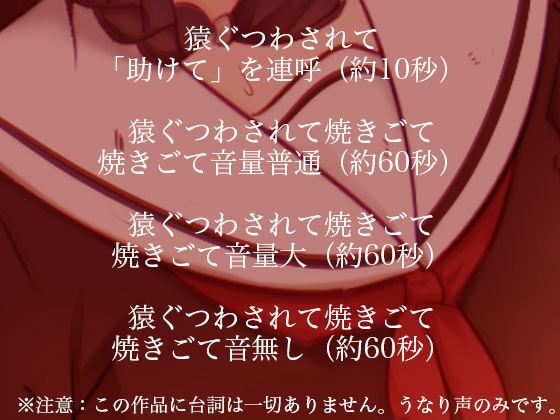 猿ぐつわされながら焼きごてされて絶叫する音声の詰め合わせ