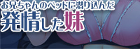 お兄ちゃんのベッドに潜り込んだ発情した妹