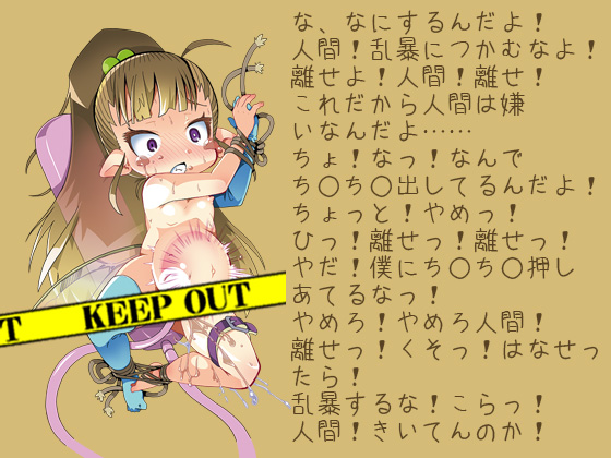 オナホ妖精
